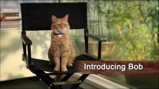 Meet 'Bob' - A STREET CAT NAMED BOB Featurette