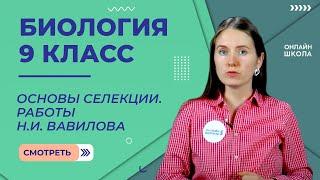 Основы селекции. Работы Н.И. Вавилова. Урок 23. Биология 9 класс