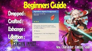 Agnidus Agate Fragment Beginners Guide Genshin Impact