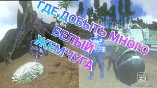 ГДЕ ДОБЫТЬ МНОГО БЕЛЫЙ ЖЕМЧУГ В ARK survival Evolved Mobile ВСЕ СПОСОБЫ ДОБЫЧИ БЕЛОГО ЖЕМЧУГА В ARK