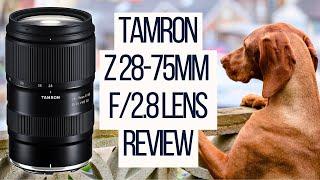 Tamron Z 28-75mm f/2.8 G2 Lens Review for Nikon Z Mount