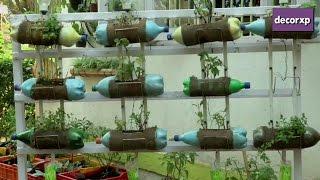 Sustainable Drip Irrigation for Plants