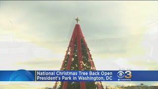 National Christmas Tree Back Open At President's Park In Washington, DC