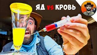 ЧЕЛОВЕЧЕСКАЯ КРОВЬ vs ЯД ЗМЕИ / Койот Питерсон на русском