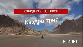 Сафари в Шарм-Эль-Шейхе или почему это того не стоит | Travel | Египет