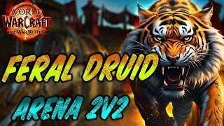 Feral Druid Dps - The War Within PvP - 2v2 Arena - Season 1- Build Wildstalker #druid #feral