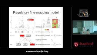 Common disease burden in non coding regions - Chris Cotsapas