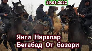 БУГУН ОТЛАРГА НИМА БУЛДИ БЕГАБОД ОТ БОЗОРИ 29.01.2022 НАРХЛАР УЗГАРДИМИ.#отлар#отбозор#улок#копкари