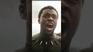 Black panther edit