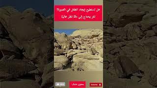 هل تستطيع إيجاد الطفل في الصورة؟#الغاز #الغاز_صعبة #الغاز #اختبار #shortvideo #ترند #youtube #shorts