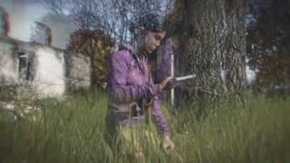 DayZ bei LowPCGames