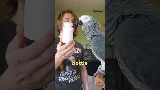 This Parrot Knows his B-Words 