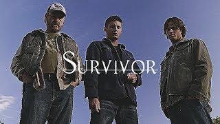 Team Free Will | Survivor