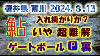 2024年８月13日 福井県 南川 ゲートボールＰ裏（塩瀬）