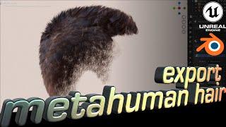 Metahuman hair into Blender