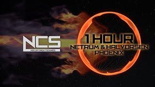 Netrum & Halvorsen - Phoenix [NCS10 Release] (1 HOUR)