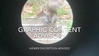 (Graphic) Rat Sniper Slugs Compilation