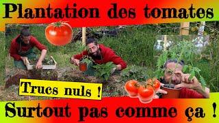 Plantation des tomates... Ne faites surtout pas comme ça !