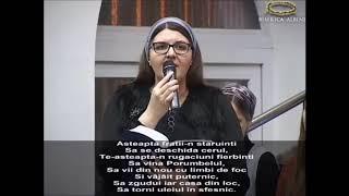 Cristina Bâzgan - Cobori, Isuse, între noi