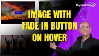 Divi Theme Image With Fade In Button On Hover
