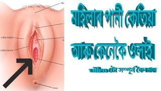 মহিলাৰ পানী কেতিয়া আৰু কেনেকৈ বাহিৰ হয়।Assamese GK questions.অসমীয়া যৌন কৌতুক part 4.