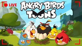  LIVE Angry Birds Party | Toons Season 1 All Episodes
