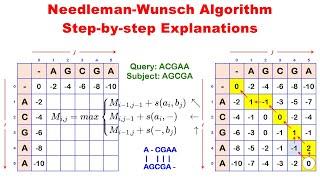 Needleman-Wunsch Algorithm — Step-by-step Explanations
