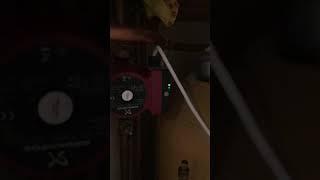 Central heating pump noise