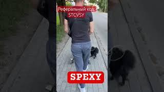 SPEXY: в нашу метакоманду : STCVSY