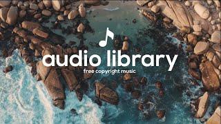 Audio Library - RECEPTION [ Free Copyright Music]