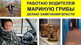 Я водитель ГАЗЕЛИ, Где мы жили до этого, МАРИНУЮ грибы, Недовольство властью, тренируем Спину