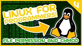 Linux For Programmers #4 - File Permissions and chmod