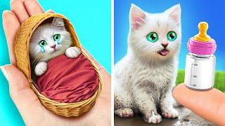 Don't Be Sad Tiny Kitten!  I Built The Home For My Cat  *Cool Gadgets And Hacks For Pets*