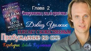 Дэвид Уилкок  Глава 2  Синхронизмы сны и архетипы