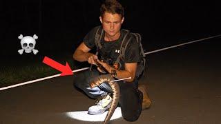 DEADLY ANIMALS IN THE FLORIDA EVERGLADES!