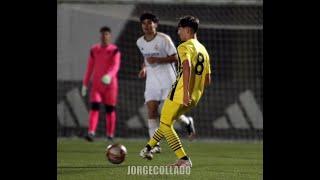 HIGHLIGHTS ALE ARAUJO PATERNA CF 23' 24'