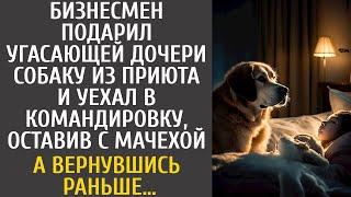 Подарил угасающей дочери собаку из приюта и уехал в командировку оставив с мачехой… А приехав раньше