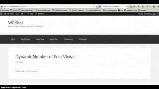 Add Post Views Count in WordPress