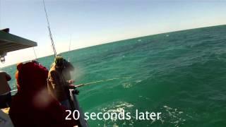 Cero Mackeral Fishing aboard the Marathon Lady