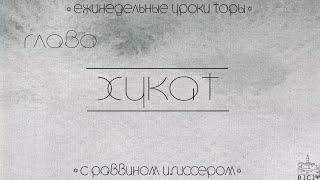 Урок №2 по недельной главе Хукат "Святое неведение"