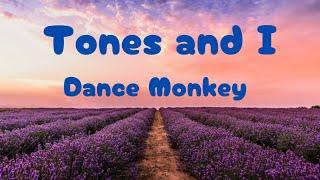 TONES AND I - DANCE MONKEY (lyrics)