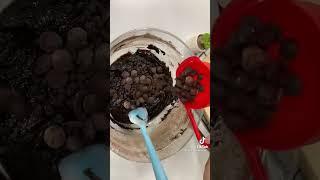 Cara membuat fudgy chocolate cookies