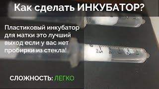 Как сделать? - Инкубатор для матки муравьёв