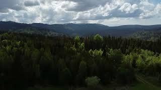 Feldberg im Schwarzwald von oben (DJI Mavic mini)