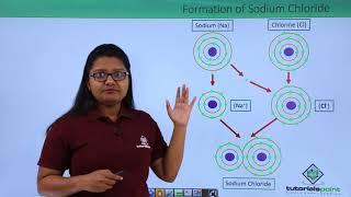 Class 9th – What are Ions? | Atoms and Molecules | Tutorials Point