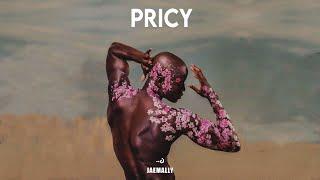 Afrobeat Instrumental 2025 [ Asake, Wizkid Afro-Fusion Type Beat ] - "PRICY"