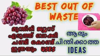 വീട് വെട്ടി തിളങ്ങാൻ Grape waste reuses.#bestkitchentips #newideas - Real Home