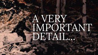 BIGFOOT | The Significance of the Patterson Gimlin Film & The Freeman Footage | MBM 182