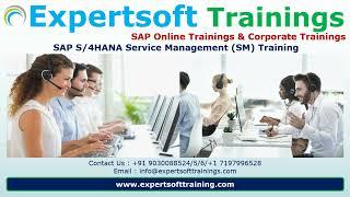 SAP S4HANA Service 2023 Training | SAP S4HANA Service Online Training