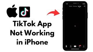 How to Fix TikTok App Not Working in iPhone (2023)